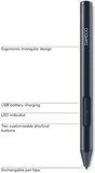 Стилус Wacom CS-610PK